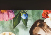 Exploring Artistic Immersion Through Unique Experiences Brussels